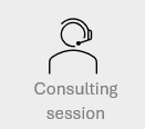 Consulting session